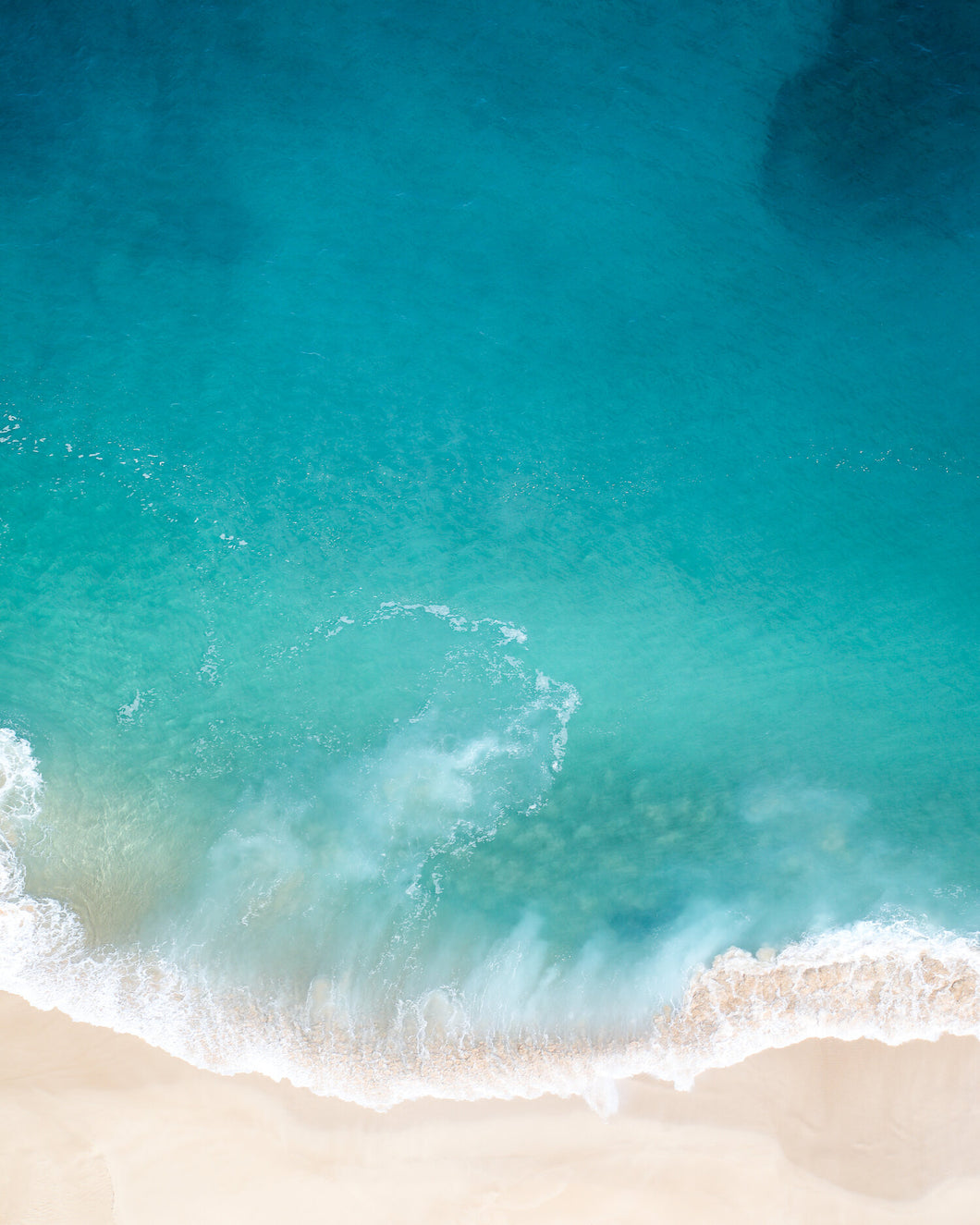NORTH SHORE GOODNESS